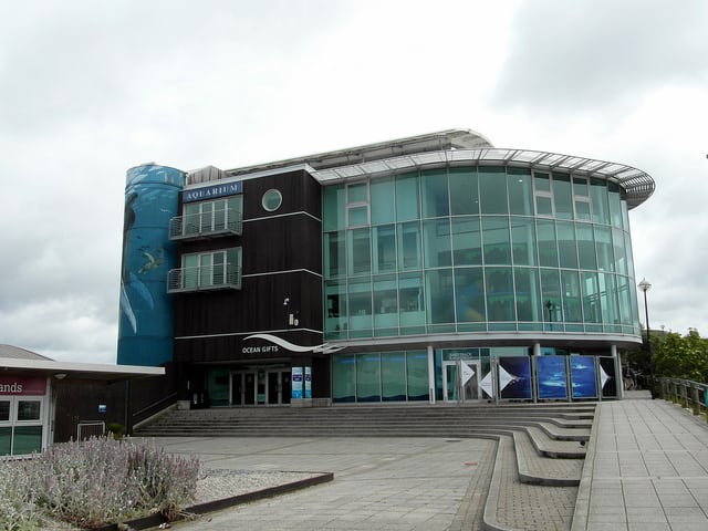 plymouth attractions national marine aquarium