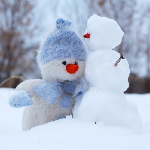   WINTER / SPRING SPECIAL